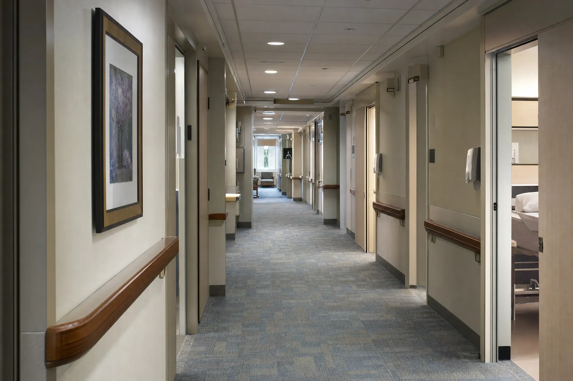Commercial Carpet
